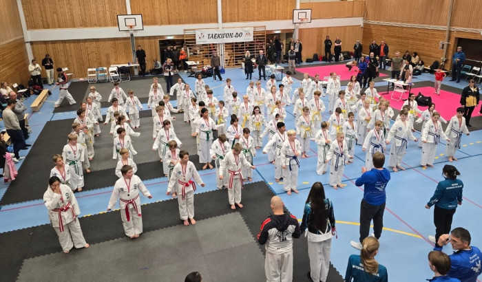 knøttecup